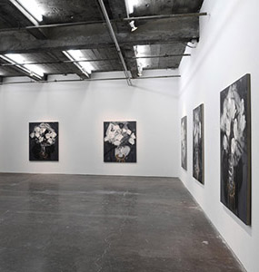 Flowers_Maccarone-Install-03_large-news-1