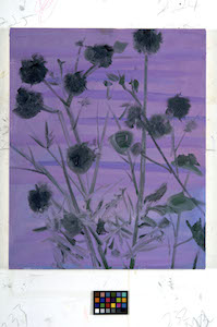 ESTATE_Ann Craven, Weed Flower (Purple Water), 2011, 22 x 18 in_JPEG