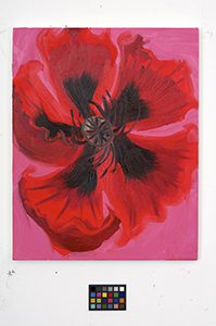 Ann Craven, 01_Poppy-news