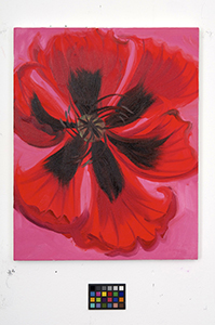 Ann Craven, 02_Poppy-news