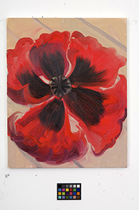 Ann Craven, 03_Poppy-news