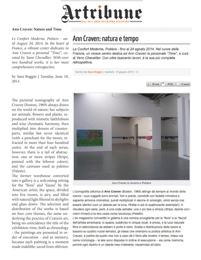 Sara Boggio_Art Tribune_LCM_2014