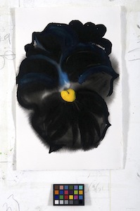 Ann Craven, 01_Pansy (Guilford, Black Moon Pansy, 2-10-13 #1), 2013, 17 x 11 in_JPEG