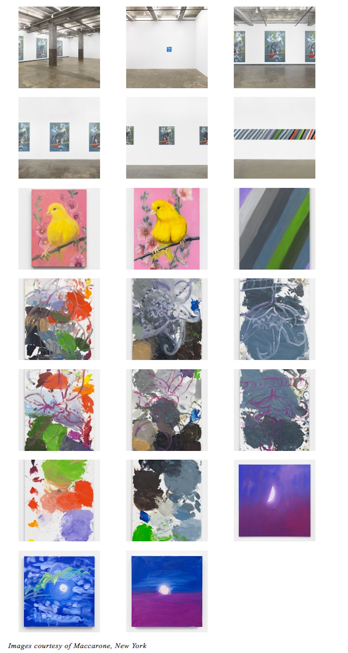 Ann Craven at Maccarone (Contemporary Art Daily)-04