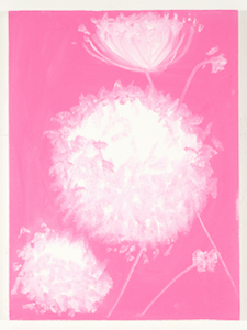 Ann Craven, 04_Queen Ann’s Lace (Pink, Cushing, 8-24-15, 5.45PM), 2015, 24 x 18 in_JPEG