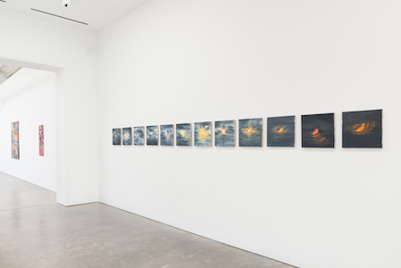 Shane_Campbell_Gallery_SUMMER2016-13