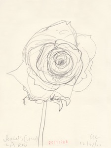 Ann Craven_Flower (Isabel's LA Rose, 12-31-11, 410PM), 2011