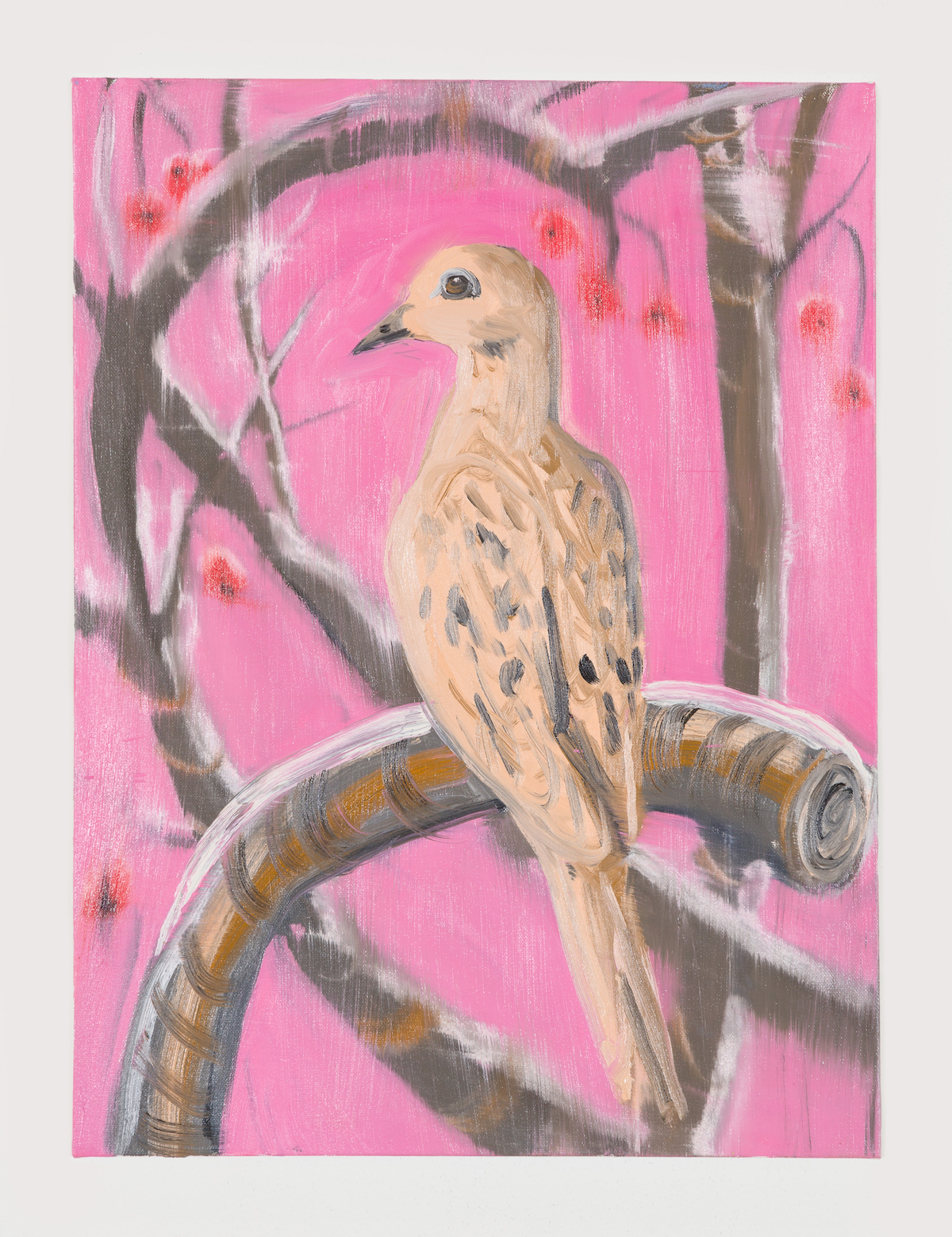 11-Mourning Dove (in Snow), 2018-1