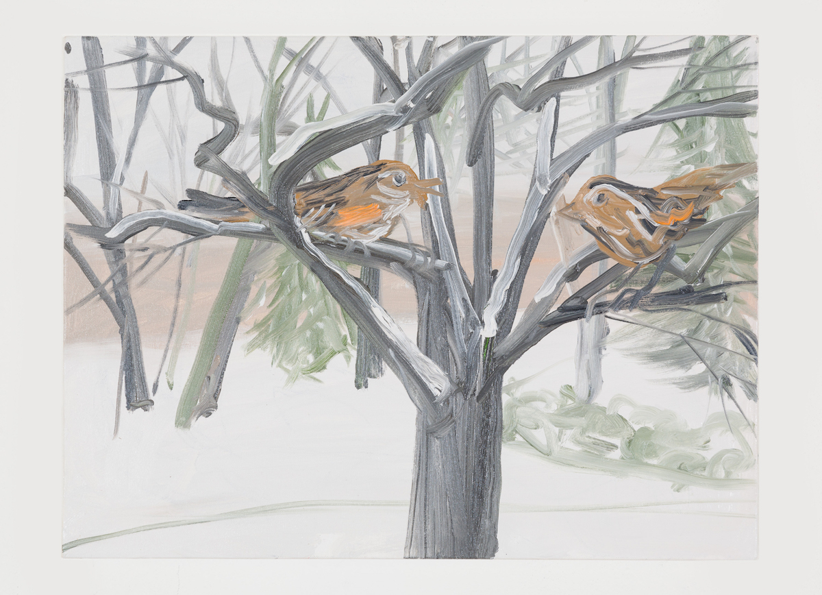 16-Snow Birds (Orange Snow Sparrow), 2017-1