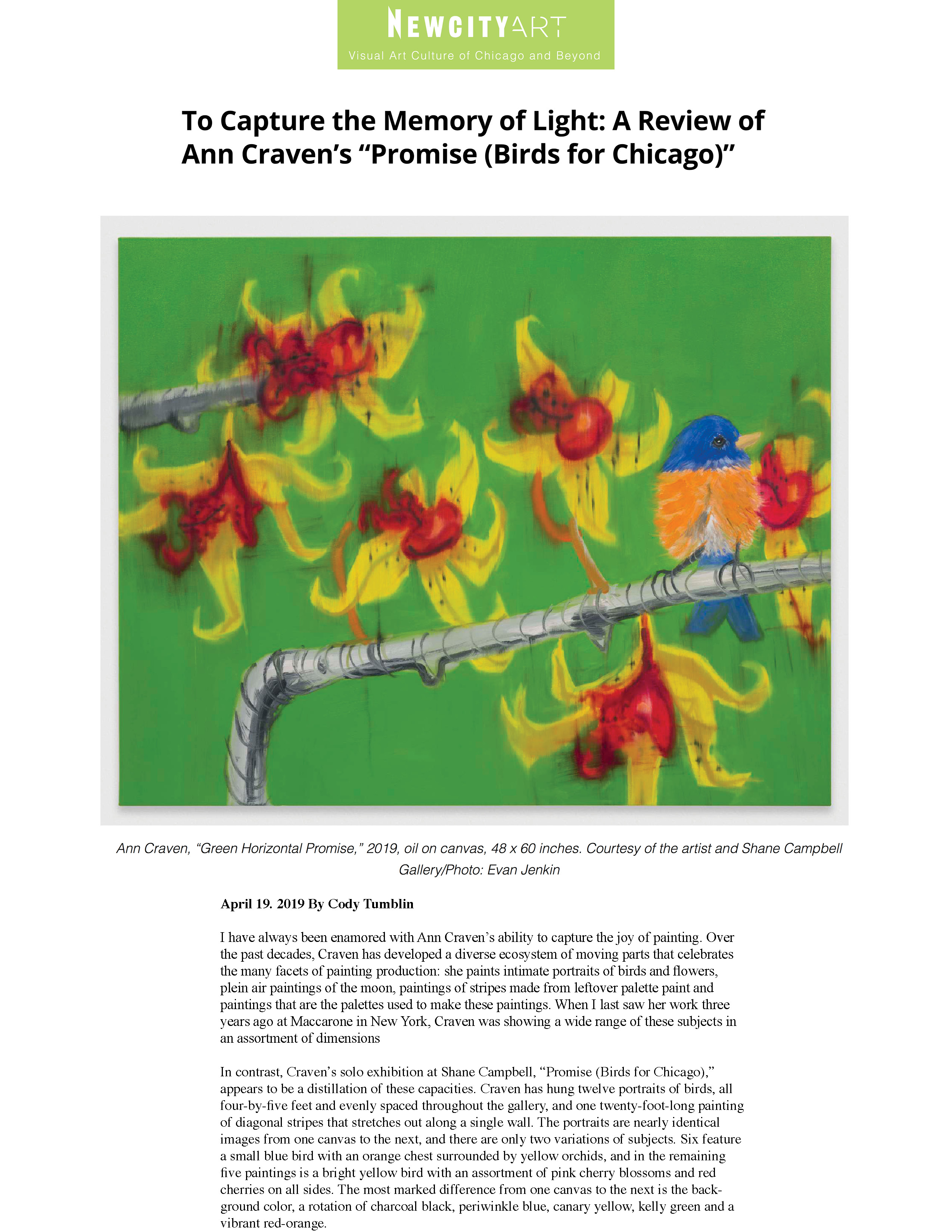 newcity_birds for chicago