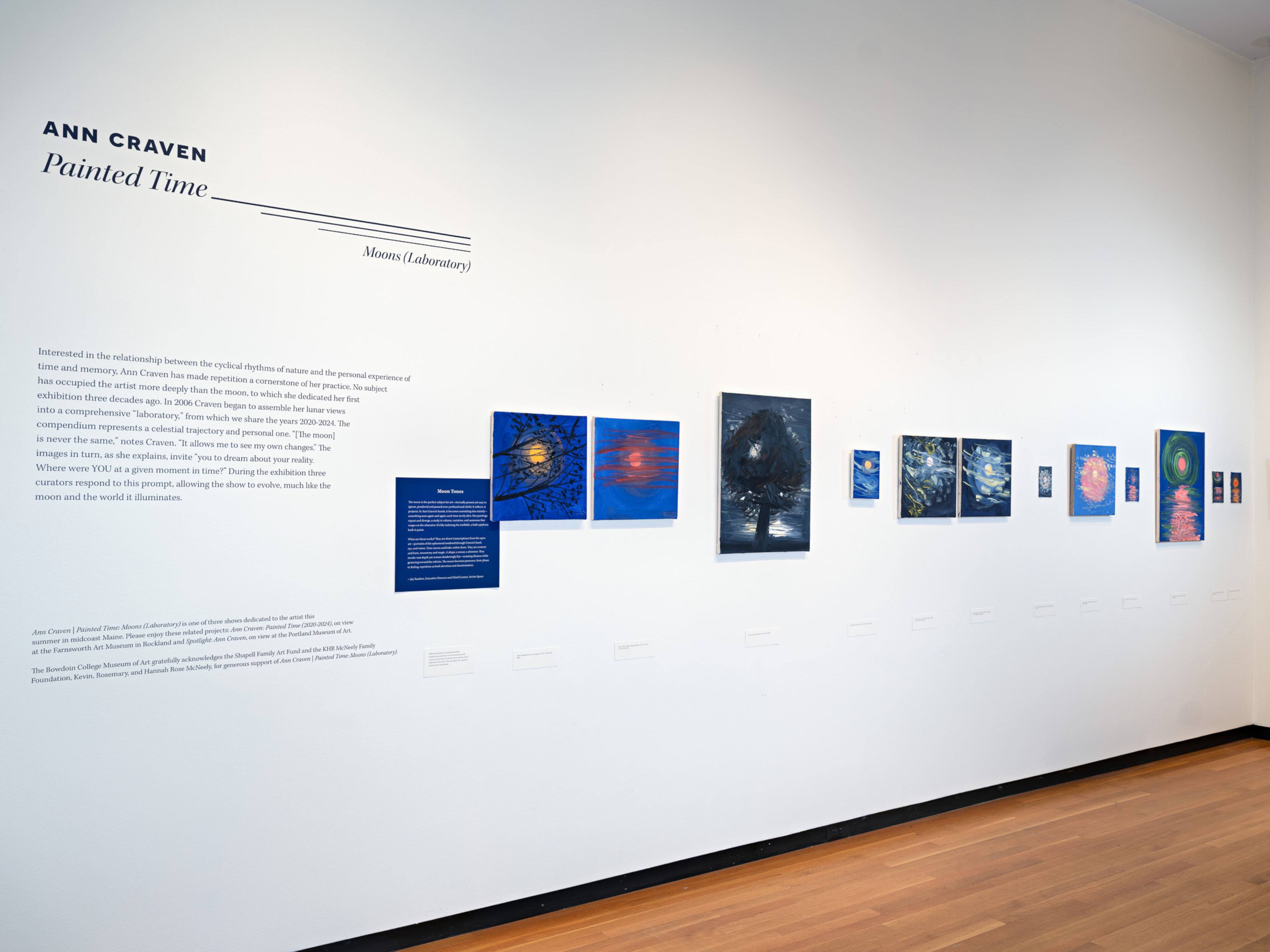 Ann Craven at Bowdoin College Museum of Art