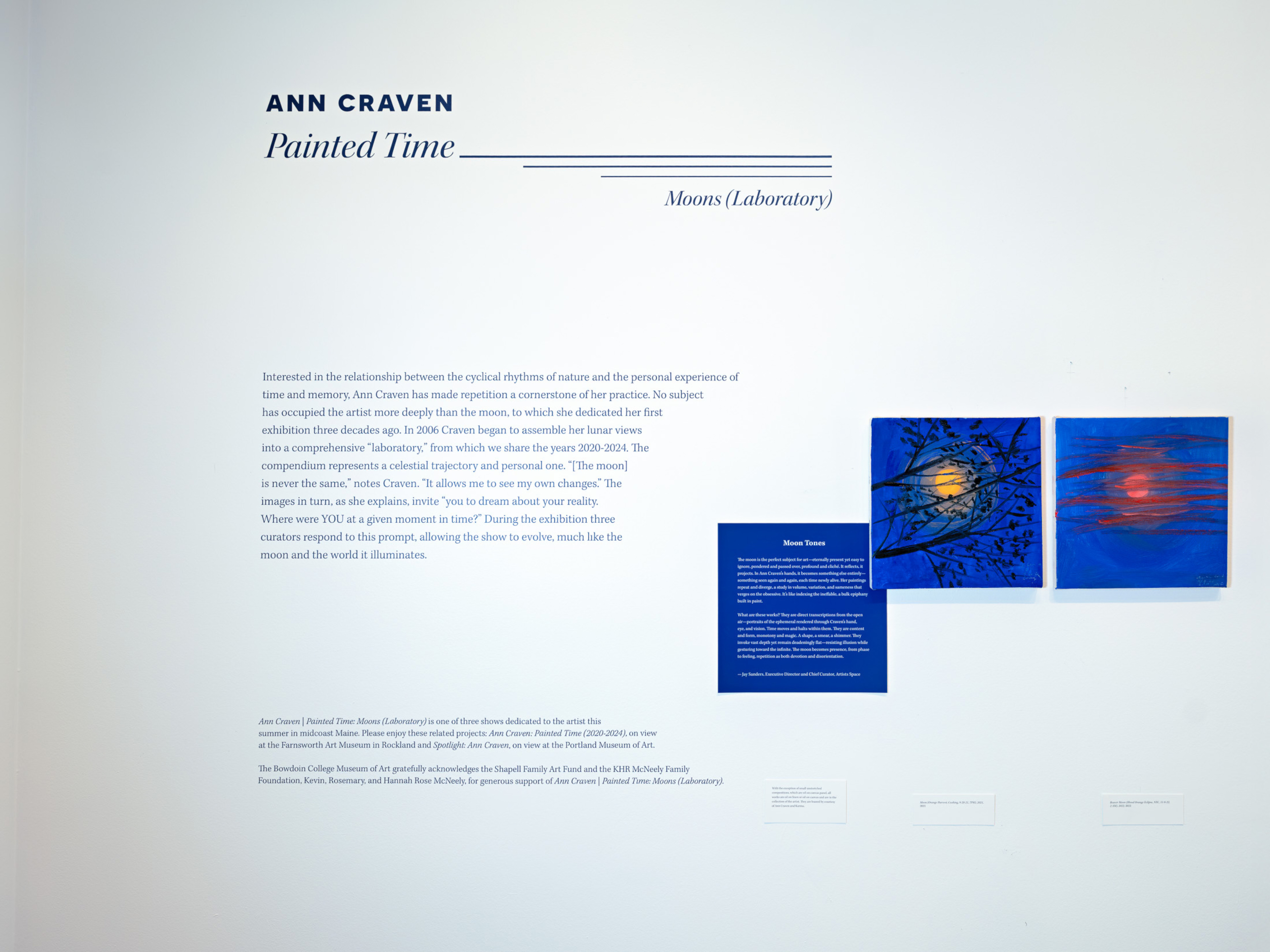 Ann Craven at Bowdoin College Museum of Art
