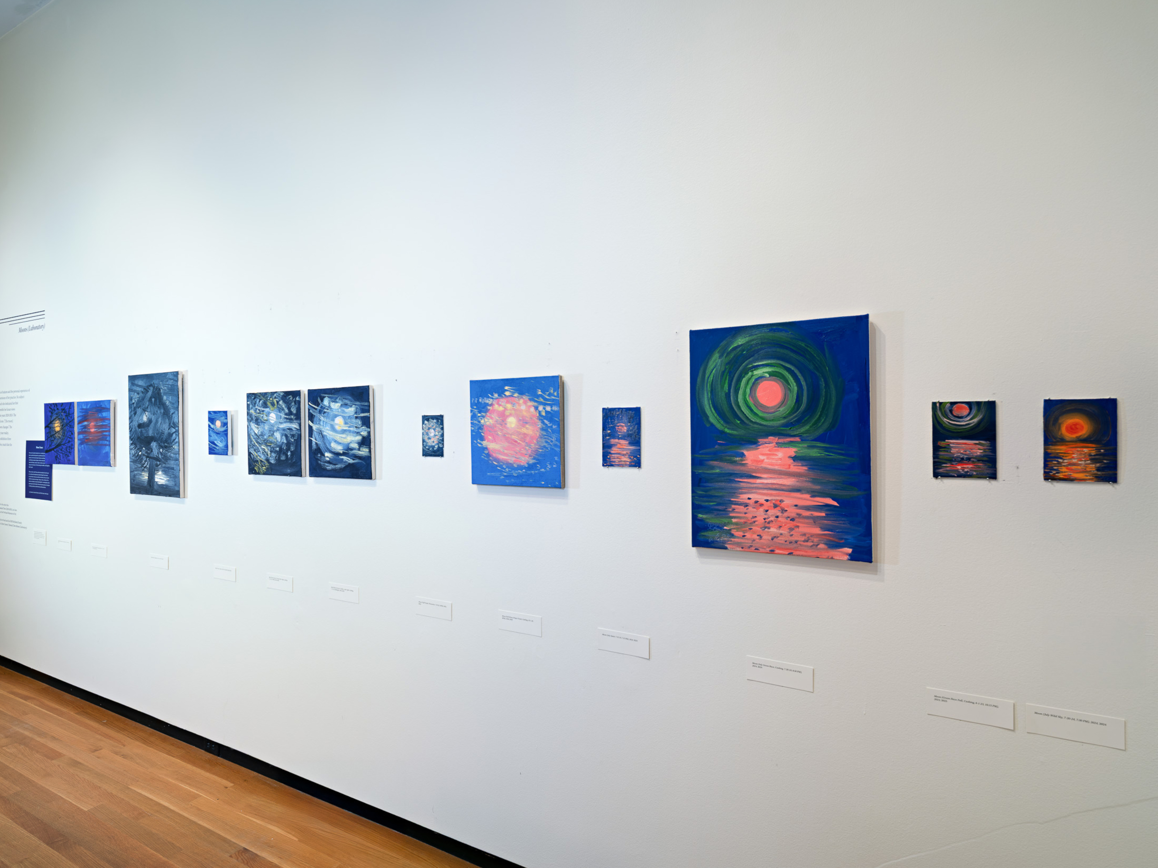 Ann Craven at Bowdoin College Museum of Art