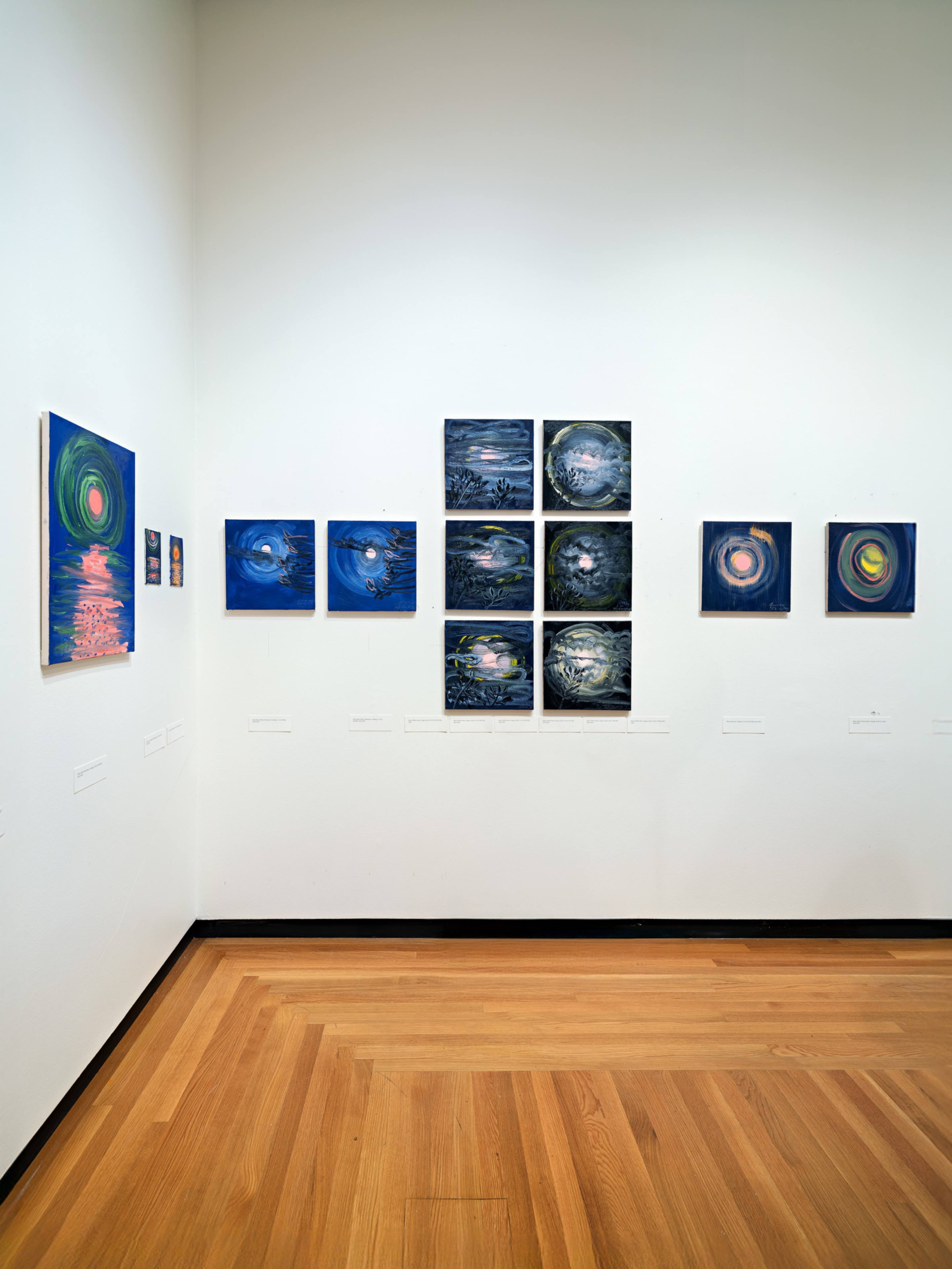 Ann Craven at Bowdoin College Museum of Art