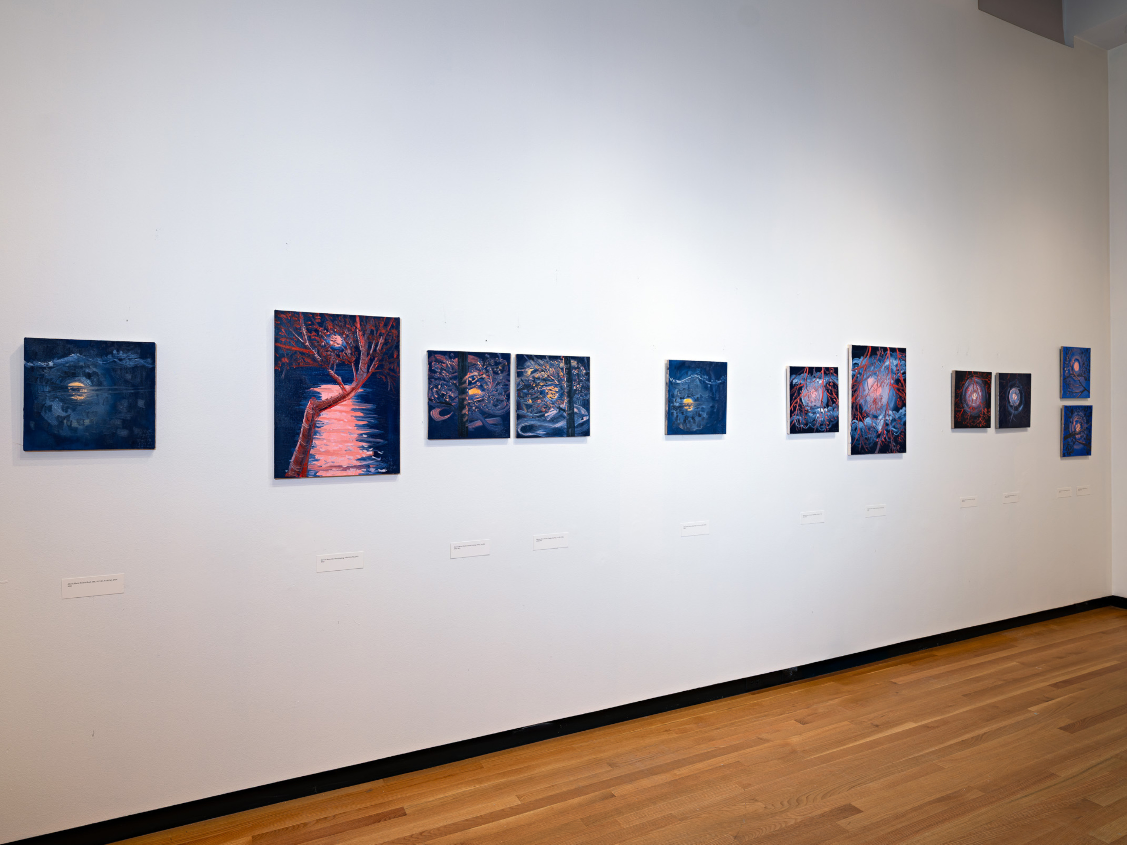 Ann Craven at Bowdoin College Museum of Art