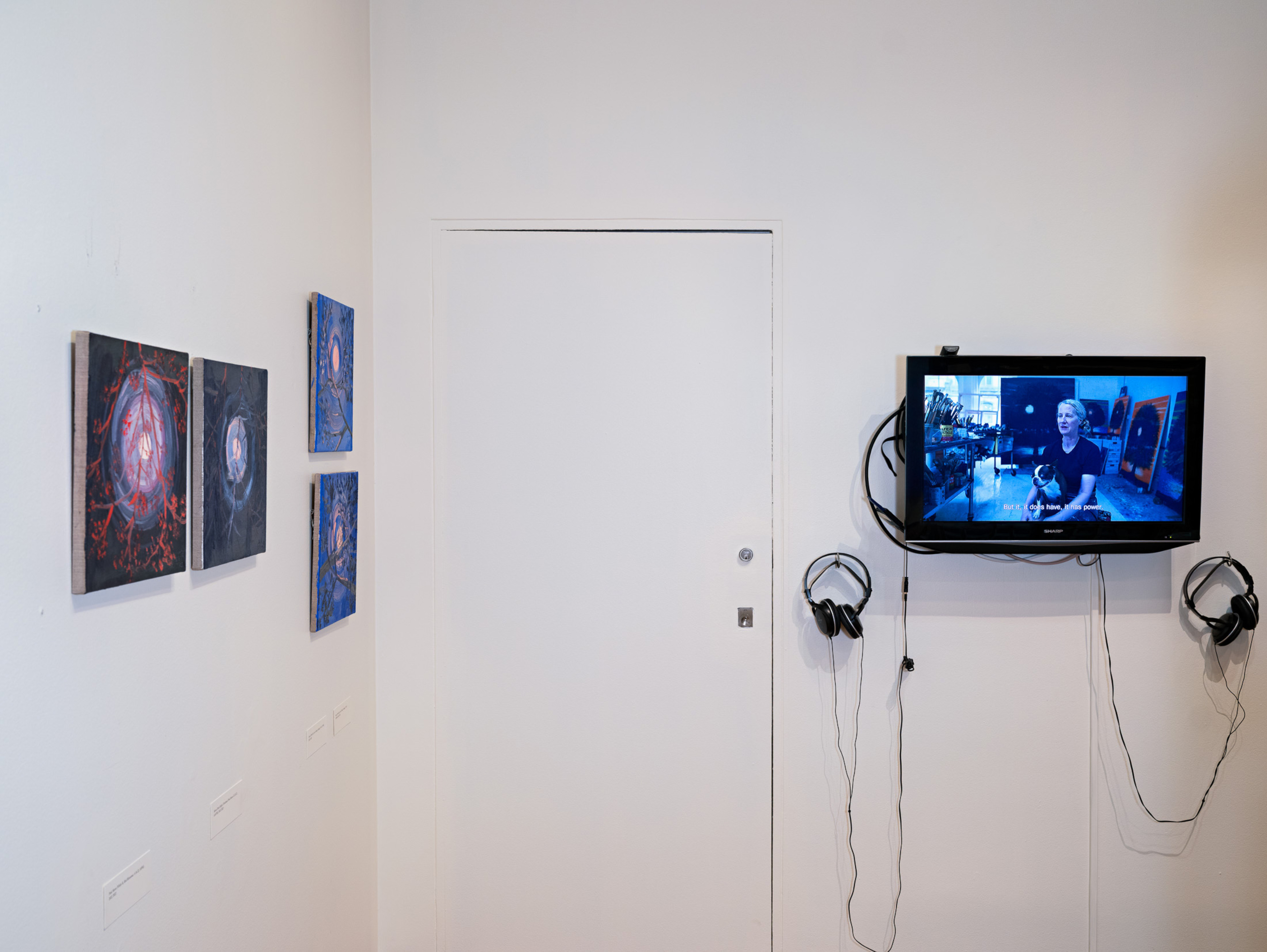 Ann Craven at Bowdoin College Museum of Art
