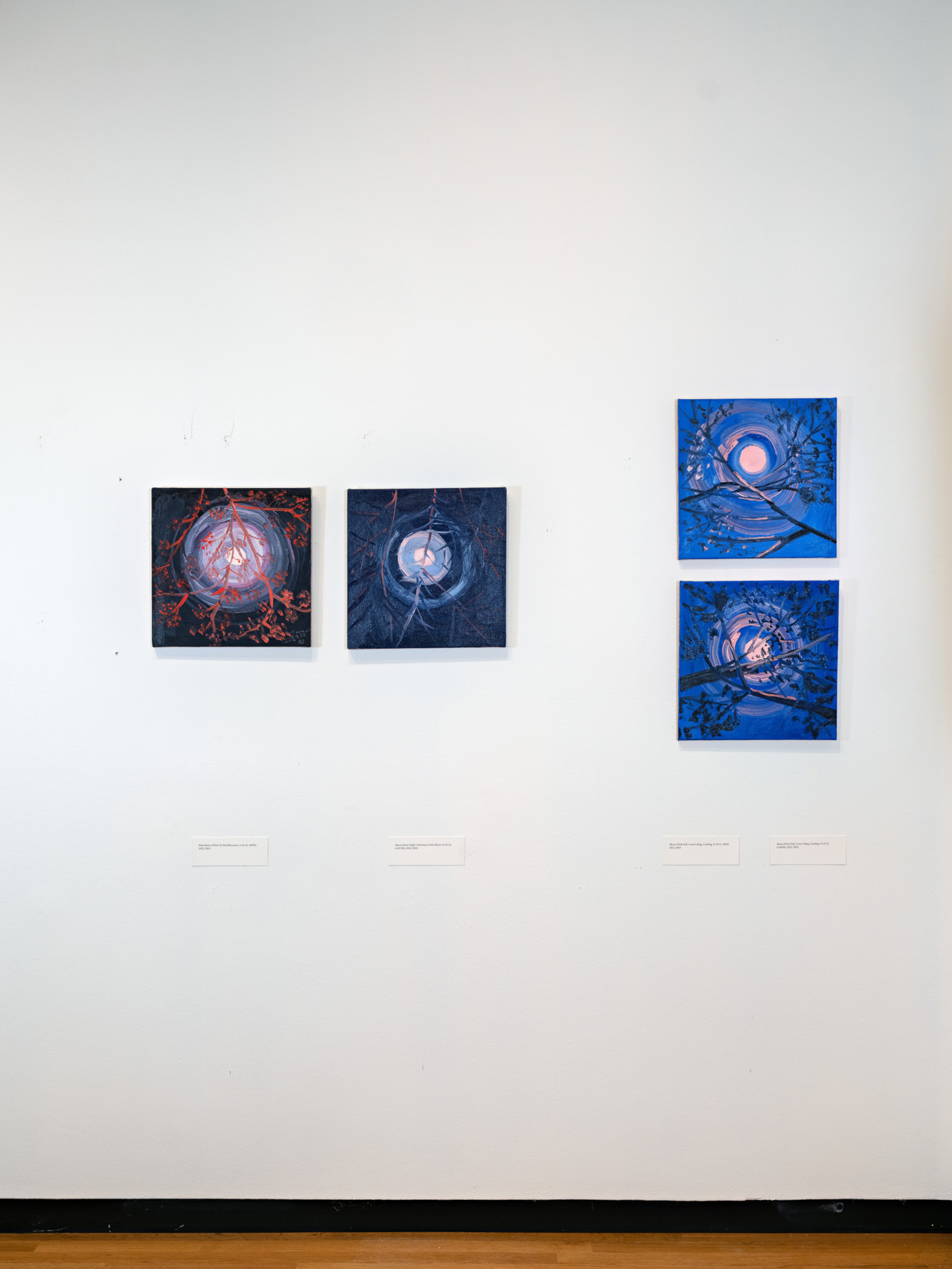 Ann Craven at Bowdoin College Museum of Art