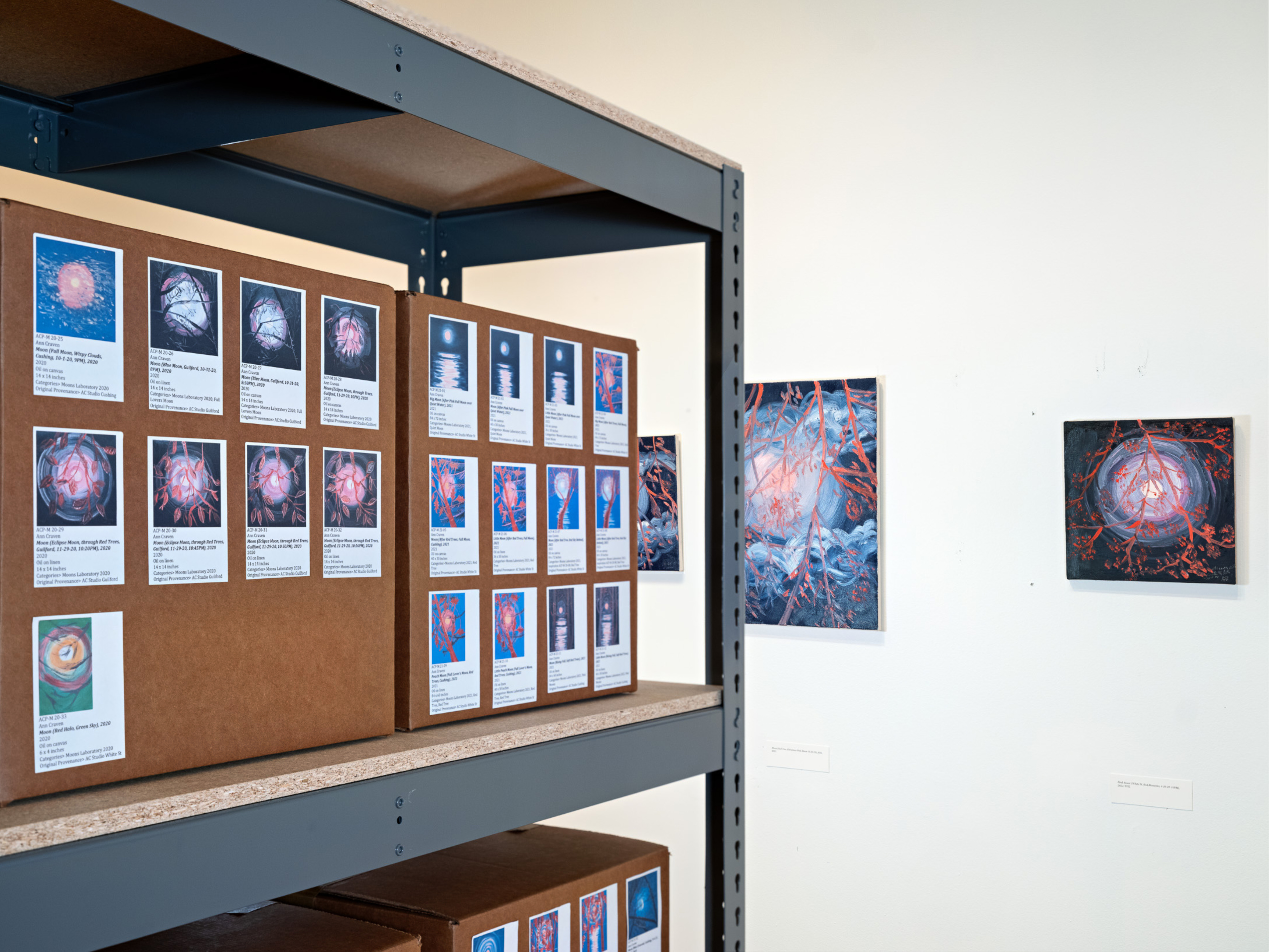 Ann Craven at Bowdoin College Museum of Art