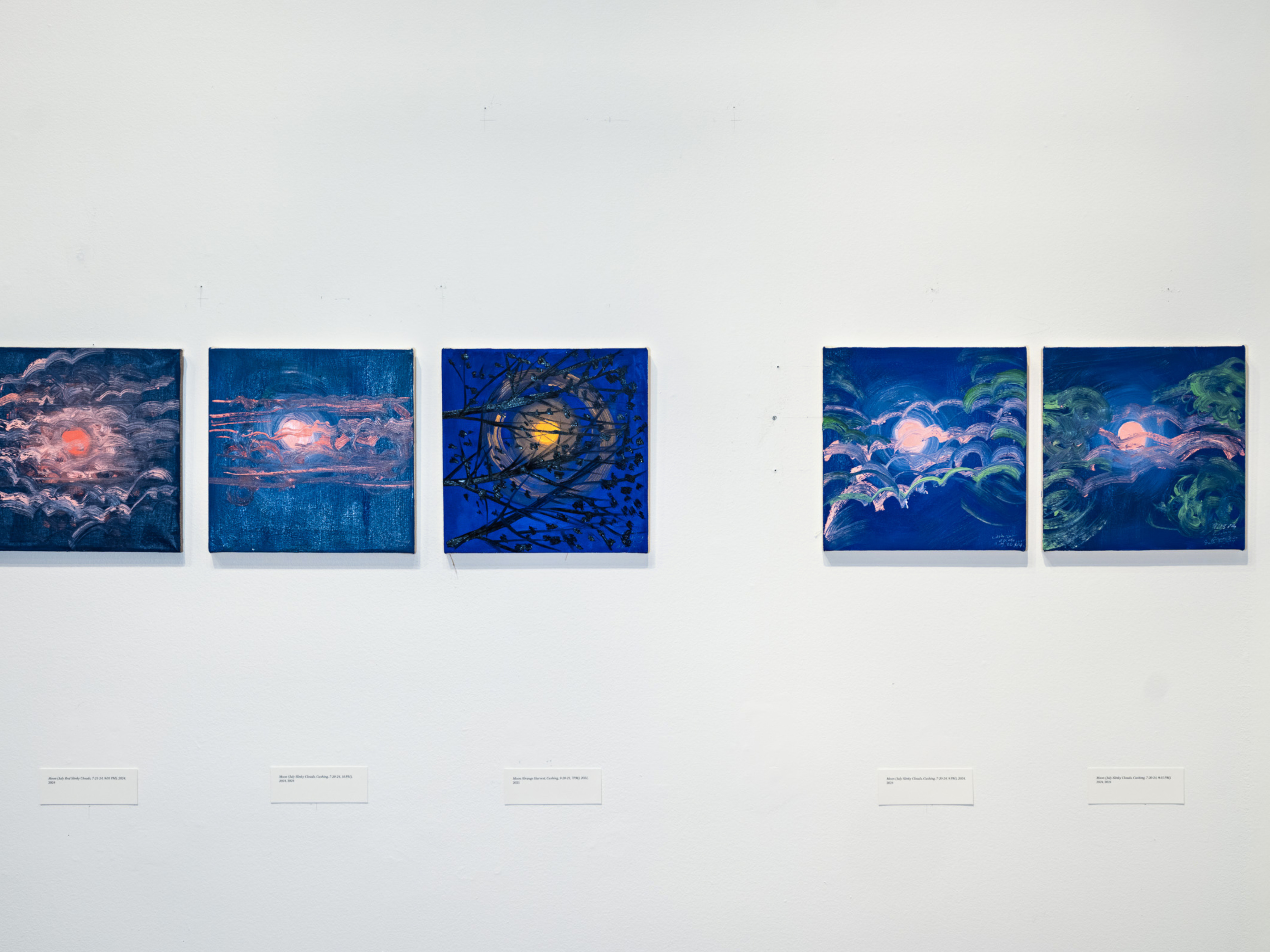 Ann Craven at Bowdoin College Museum of Art